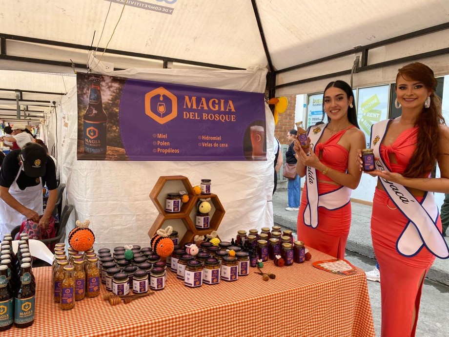 La magia conecta